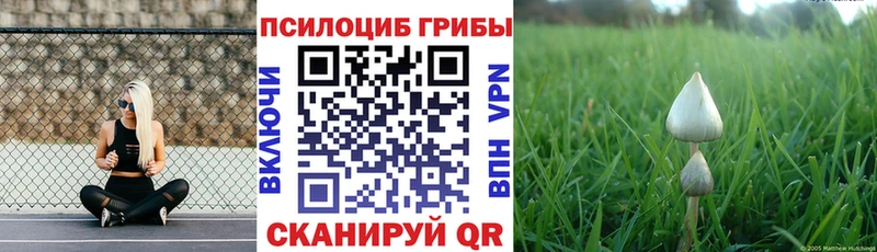 Купить закладки  Южно-Сахалинск  Галлюциногенные грибы Psilocybe 